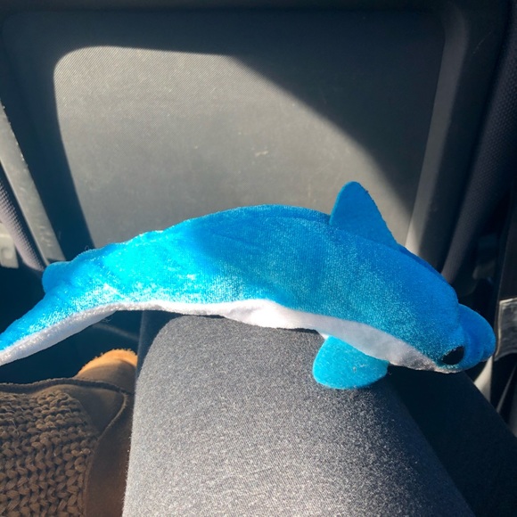 Shark! - Picture 4 of 5